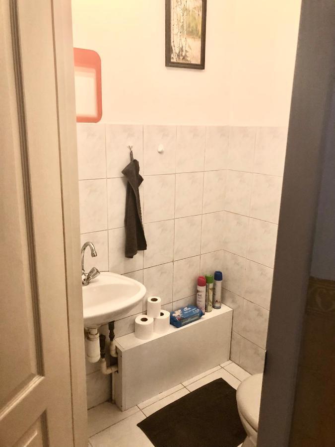 Large Apartment With Garage And Terrace Βουδαπέστη Εξωτερικό φωτογραφία